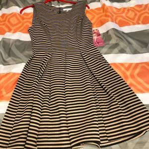 NWT Small Taupe and Black Fit and Flare Dress